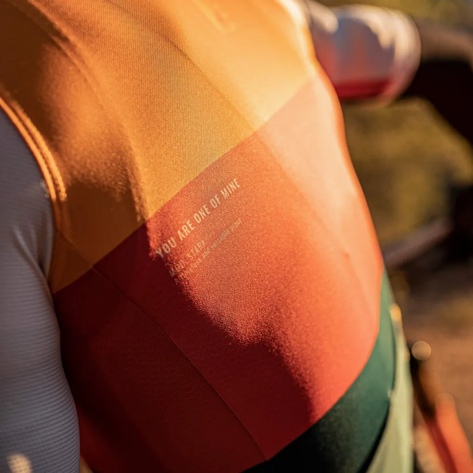Maillots>GOBIK MAILLOT MANGA CORTA STARK HOMBRE NECTAR